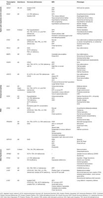 Congenital Hypopituitarism During the Neonatal Period: Epidemiology, Pathogenesis, Therapeutic Options, and Outcome